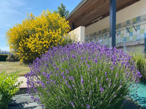 Camping Quend, 3 pièces, 4 personnes - photo_1012081751678