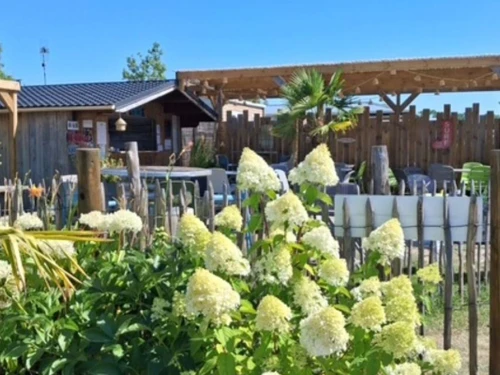 Camping Quend, 3 pièces, 4 personnes - photo_1012081749770