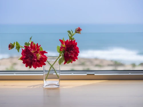 Ferienwohnung Torrevieja, 3 Schlafzimmer, 6 Personen - photo_1011713059906