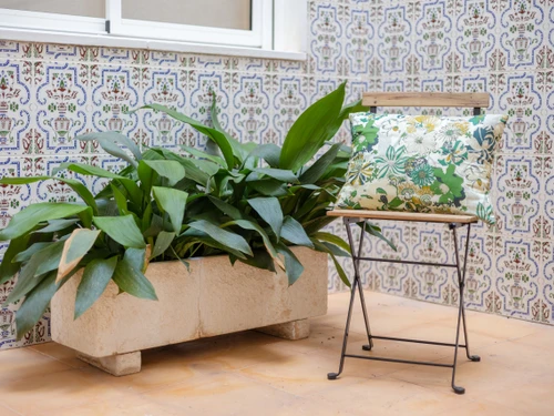 Ferienwohnung La Foia / La Hoya, 2 Schlafzimmer, 4 Personen - photo_1011713057224