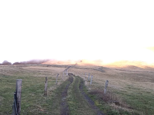 Apartment Le Lioran, 1 bedroom, 6 persons - photo_1012140539563