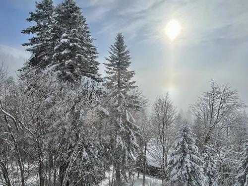 Apartment Le Lioran, 1 bedroom, 6 persons - photo_1012140539563