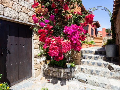 Casa Fasnia, 4 dormitorios, 10 personas - photo_1011865404152