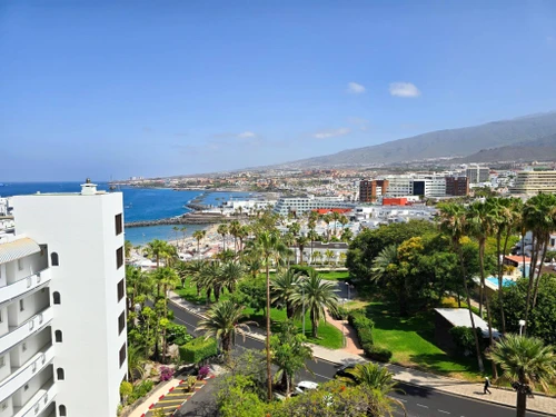 Studio Tabaiba Baja, studio flat, 2 persons - photo_1011776962632