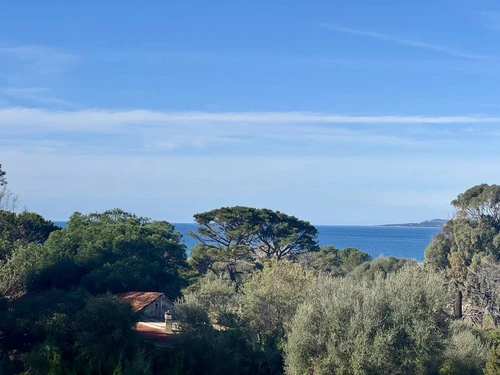 Apartment Propriano, 1 bedroom, 3 persons - photo_1012145621916