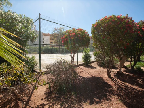 Studio Albufeira, 1 pièce, 3 personnes - photo_1011865924674