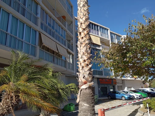 Apartment Calp, 2 bedrooms, 5 persons - photo_1012145716237