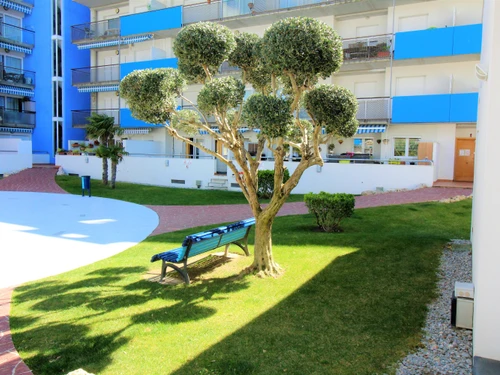 Appartement Roses, 2 pièces, 4 personnes - photo_1012149025439