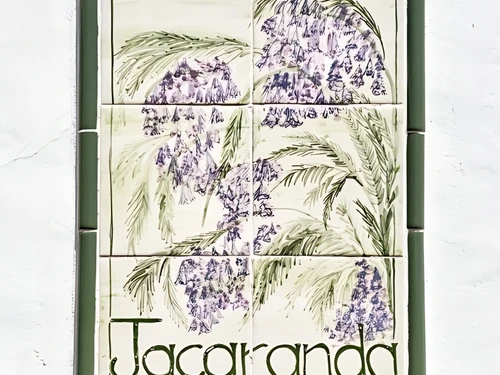 Appartement Portimão, 2 pièces, 2 personnes - photo_1012150809728