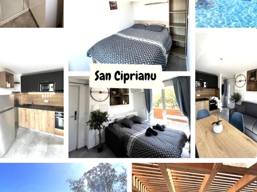 Apartment Lecci, 1 bedroom, 4 persons - photo_1012008303104