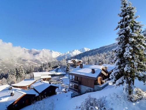 Apartment La Tania, 1 bedroom, 4 persons - photo_17684429022