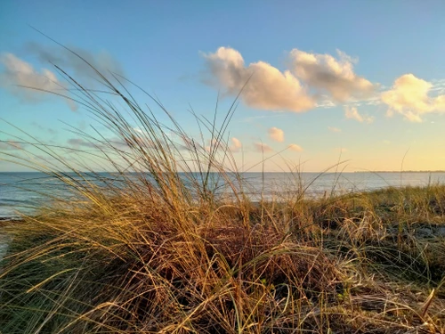 Casa Plonéour-Lanvern, 2 dormitorios, 5 personas - photo_710291310