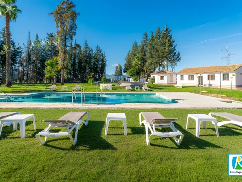 Studio Alhaurín el Grande, 1 bedroom, 4 persons - photo_1012159735896