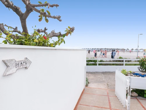 Apartment Alcúdia, 2 bedrooms, 4 persons - photo_1012164311615