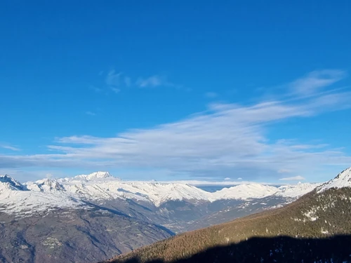 Studio Plagne Aime 2000, studio flat, 4 persons - photo_17838210513