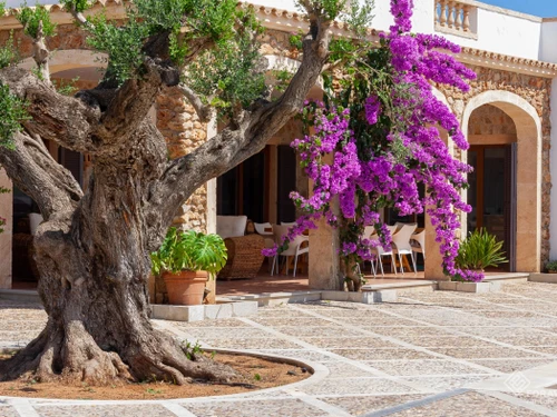 Villa Santa Margalida, 5 bedrooms, 12 persons - photo_1012166946588