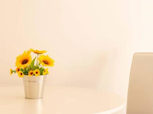 Apartamento Pollensa, 1 dormitorio, 2 personas - photo_1012166946972