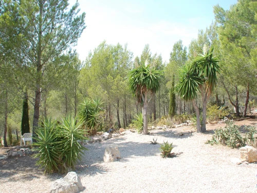 Maison Sant Jordi d'Alfama, 4 pièces, 6 personnes - photo_1012169282631