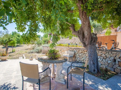 Villa Palma de Mallorca, 3 dormitorios, 6 personas - photo_1012170966734