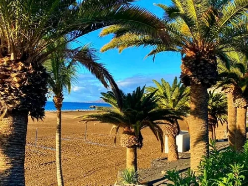 Ferienwohnung Puerto de la Cruz, 2 Schlafzimmer, 4 Personen - photo_1012170982439