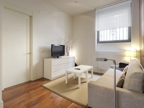 Appartement San Sebastián/Donostia, 2 pièces, 4 personnes - photo_1012170989281