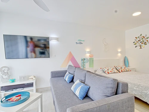 Studio Saint-Martin, studio flat, 3 persons - photo_1012175369702