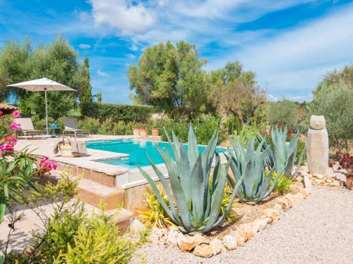 Villa Palma de Mallorca, 1 Schlafzimmer, 2 Personen - photo_1012177876836