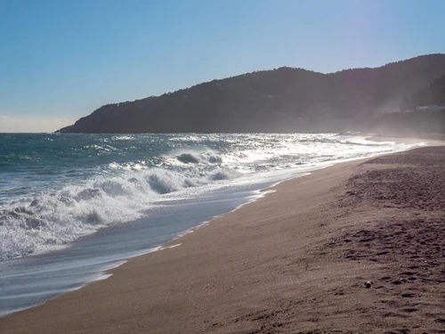 Appartement Pals, 3 pièces, 3 personnes - photo_1012178580775