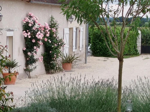 Gasthaus Paulnay, 2 Schlafzimmer, 4 Personen - photo_1011776876058