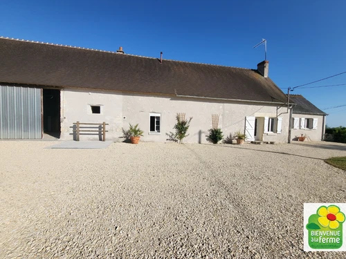 Gasthaus Paulnay, 2 Schlafzimmer, 4 Personen - photo_1011776876058