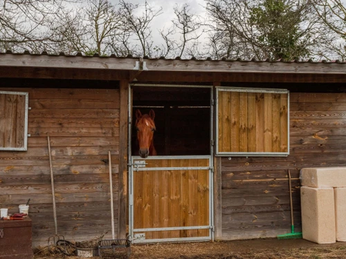 Gasthaus Trouville-sur-Mer, 4 Schlafzimmer, 6 Personen - photo_1012182060403