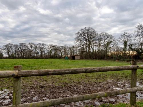 Gasthaus Trouville-sur-Mer, 4 Schlafzimmer, 6 Personen - photo_1012182060403