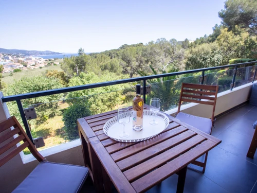 Apartment Bormes-les-Mimosas, 1 bedroom, 2 persons - photo_15685449898