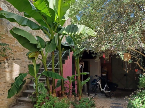 Guestroom Chalonnes-sur-Loire, 1 pièce, 2 personnes - photo_1012134506947