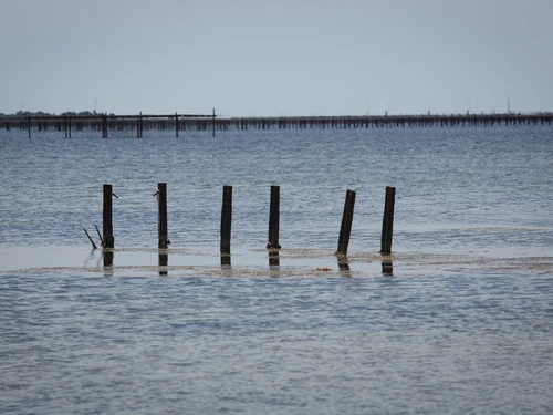 Appartement Balaruc-les-Bains, 2 pièces, 4 personnes - photo_14260358693