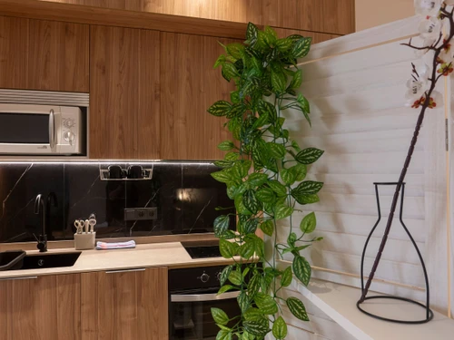 Appartement Valencia, 1 pièce, 2 personnes - photo_1012187371258