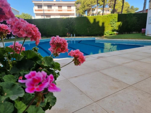 Appartement L'Escala, 3 pièces, 5 personnes - photo_1011312649063