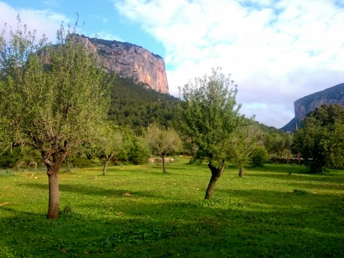 Villa Alaró, 2 bedrooms, 4 persons - photo_1011951236629