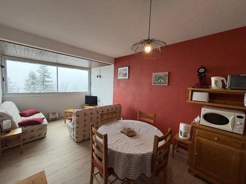 Studio Le Lioran, Studio, 4 Personen - photo_1012200032317