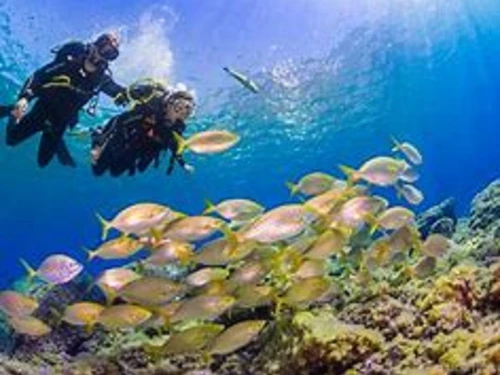 Apartment Radazul, 3 bedrooms, 5 persons - photo_1012201148963