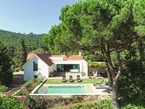 Villa Sintra, 6 pièces, 10 personnes - photo_1012201153058