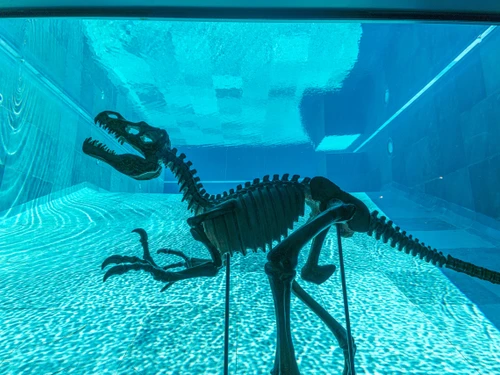 Maison Malveira da Serra, 5 pièces, 10 personnes - photo_1012201153473