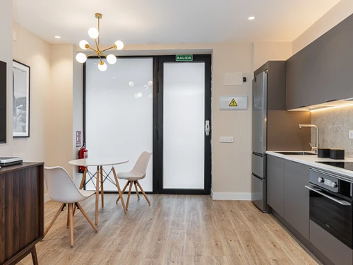 Appartement Madrid, 2 pièces, 2 personnes - photo_1012201153895