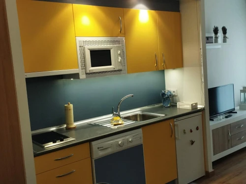 Ferienwohnung Aísa-Candanchú, 1 Schlafzimmer, 4 Personen - photo_1011334877766