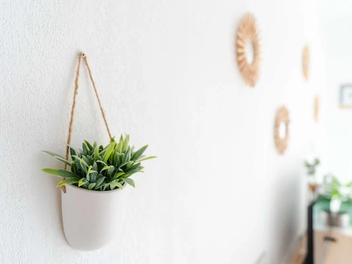 Villa Fleury-Saint-Pierre-la-Mer, 3 pièces, 6 personnes - photo_1011740516993