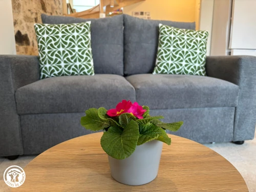 Gîte La Gaubretière, 2 pièces, 4 personnes - photo_1012202911375