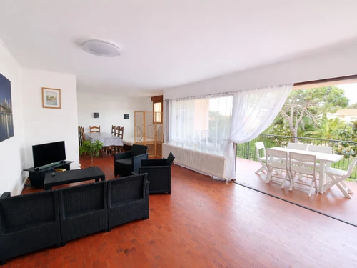 Appartement Collioure, 3 pièces, 6 personnes - photo_15584903760