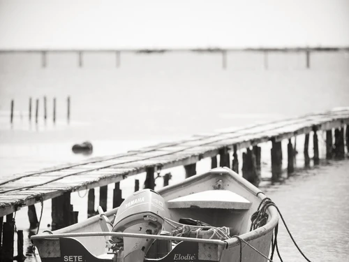 Studio Balaruc-les-Bains, 1 pièce, 4 personnes - photo_14260348784