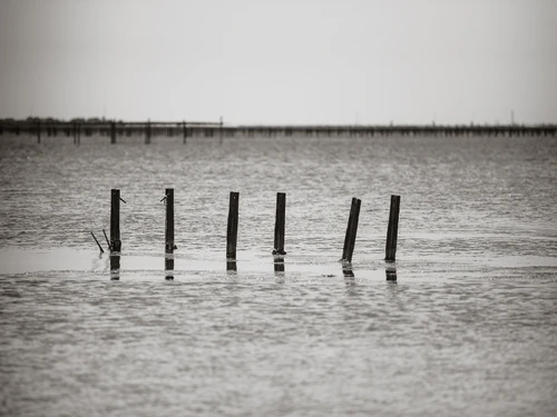 Studio Balaruc-les-Bains, 1 pièce, 3 personnes - photo_14260343965