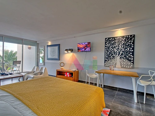 Studio Saint-Martin, studio flat, 2 persons - photo_19559518211